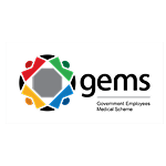 The GEMS (Government Employees Medical Scheme) logo is made of four multi-colored squares—grey, red, blue, and green—that are linked together to form a larger diamond shape. The word "gems" is written in a dark font next to it.